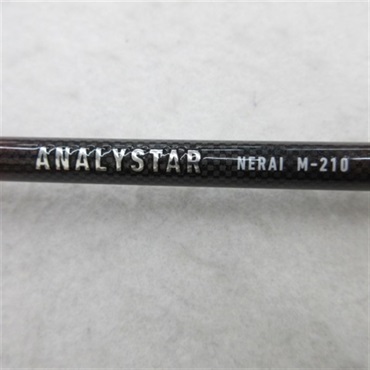２４アナリスターネライＭー２１０